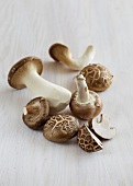 Fresh trumpet mushrooms on wooden surface