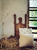 Two pillows lying on straw in front of window