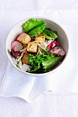 Summer salad with radishes and tofu croutons