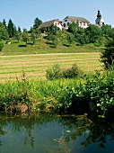 View of house, farm with waterfront in Austria