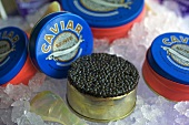 Close-up of caviar on spoon