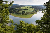 View of forest and Lake Eder, Hesse, Germany