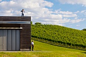 Man and woman looking at vineyards
