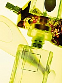 Close-up of various green perfume bottles