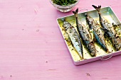 Kochen auf Sparflamme Gegrillte Makrelen mit Rucolasalat