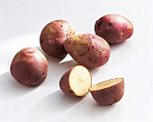 Food, Kartoffeln Red King Edward VII, Freisteller