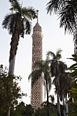 View of Cairo Tower in Zamalek, Gezira Island, Cairo, Egypt