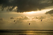 Man kiting on beach of St. Peter Ording, Germany, backlit
