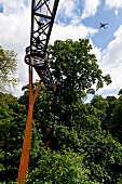 View of Treetop walk in Kew Gardens, London, England, UK