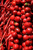 Close-up of different types of red peppers