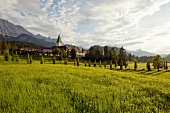 View of Hotel Schloss Elmau, meadows and mountain, Upper Bavaria, Germany