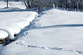 Winterküche, Spuren im Schnee, Winterlandschaft, Voralpenland
