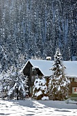 Winterküche, Holzhaus am Berg, Schnee, Voralpenland