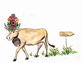 Kuh mit Glocke, Illustration 