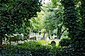 View of Highgate Cemetery through bushes, Camden, London, UK
