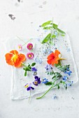 Various edible flowers (violets, daisies, borrage, nasturtiums)