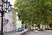 View of Ludwig court and cafe in front of big tree, Saarland, Saarbrucken, Germany