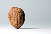 Close-up of walnut with shell on white background