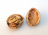Halved walnut on white background