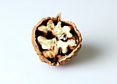 Close-up of halved walnut on white background