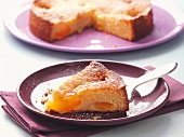Fruktose-Unverträglichkeit, Versunkener Aprikosenkuchen