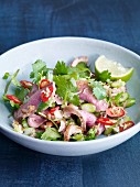 Thai duck breast salad with chilli, spring onions and coriander