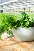 Bowl of dill, parsley and chives on wooden table