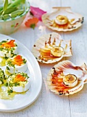 Goat cheese and feta cheese on plate and shells