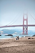 San Francisco, Golden Gate Bridge Nebel, Strand, Meer, Pazifik