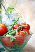 Vegetarisch, Tomaten und grüne Bohnen in einer Schale