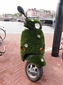 Scooter covered with grass parked on pavement at Amsterdam, Netherlands