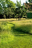 View of bent grass sprawl and road in garden