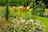 Rosen im Garten, Gartenplatz mit Sitzmöbeln
