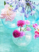 Various flowers in vases