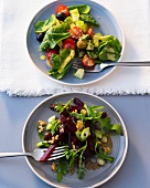 Beetroot salad with walnuts and spinach salad with avocado on plates