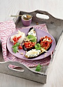 Eggplant chips with tri colour toppings on plate