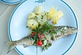 Whitefish with potatoes on plate in Gut Ising restaurant, Chiemgau, Bavaria, Germany