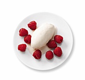 Bild-Diät, Frozen Joghurt mit Himbeeren