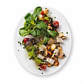 Bild-Diät, Blattsalate mit Pastinaken und Champignons