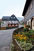 View of timber house on street, Lusatia, Lusatian Mountains, Saxony, Germany