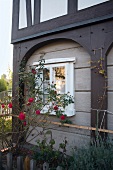 Window of Upper Lusatian house with rose plant, Upper Lusatia, Saxony, Germany