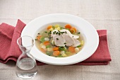 Chicken breast with vegetable soup on plate