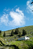 Chiemgau, Bayern, Chiemgauer Alpen, Spitzstein, bei Sachrang, Natur