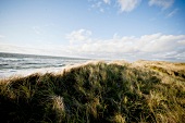 Dunes on west beach, Sylt, Germany