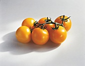 Food, Gelbe Tomaten der Sorte "Locarno", Freisteller