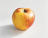 Food, Apfel der Sorte "Goldparmäne", Freisteller
