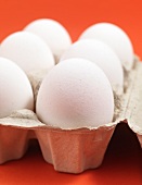 Close-up of eggs in white carton