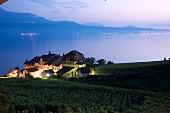 View of Epesses at evening light, Alps, canton of Vaud, Lake Geneva, Switzerland