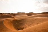 Wüste, Wahiba Sands, Abendsonne Oman, Sand, Landschaft, Übersicht