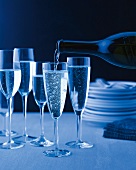 Sparkling wine being poured in glasses 
